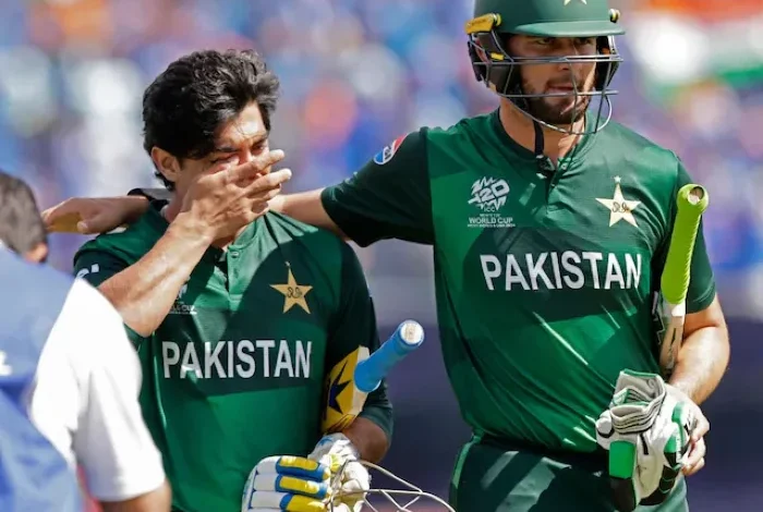 a image of pakistan's loss from india after match